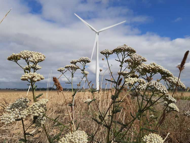 Parc éolien de Bray – Le Tilleul-Othon financé WiSEED
