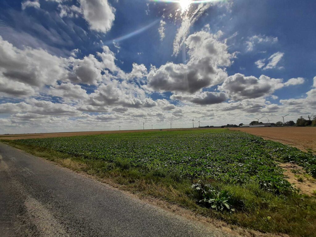 Parc éolien de Bray – Le Tilleul-Othon 2 Parc éolien de Bray – Le Tilleul-Othon 2