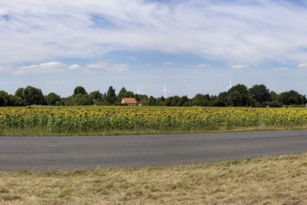 Parc éolien Sud Vienne
