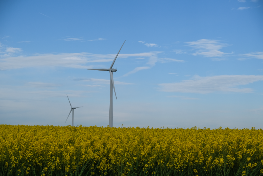 Parc éolien de Bray - Le Tilleul-Othon
