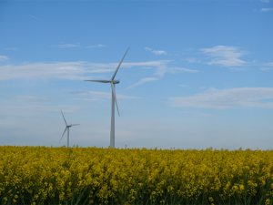 Visite scolaire - Les éoliennes du Plateau - Concertation